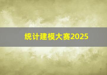 统计建模大赛2025