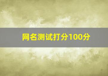 网名测试打分100分