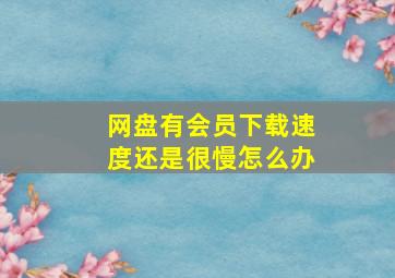 网盘有会员下载速度还是很慢怎么办