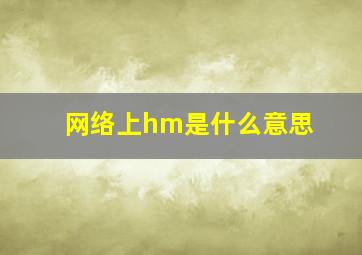 网络上hm是什么意思