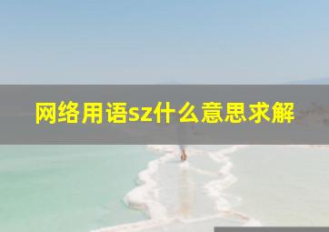 网络用语sz什么意思求解