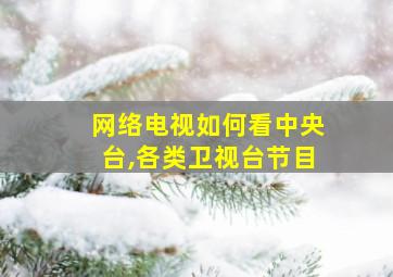 网络电视如何看中央台,各类卫视台节目