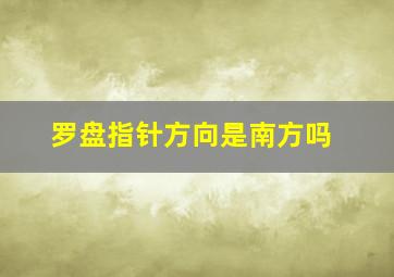 罗盘指针方向是南方吗