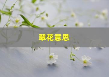 翠花意思