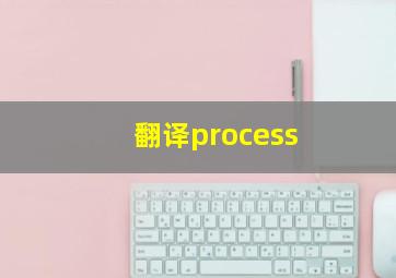 翻译process