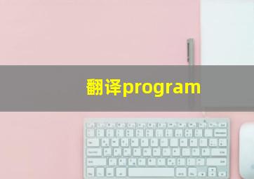 翻译program