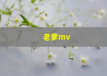 老爹mv