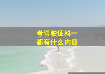 考驾驶证科一都有什么内容