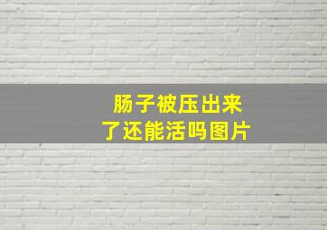 肠子被压出来了还能活吗图片