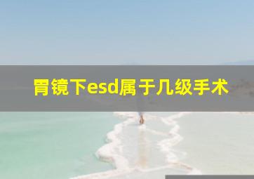 胃镜下esd属于几级手术