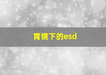 胃镜下的esd