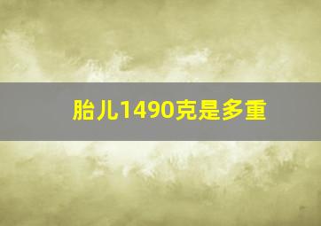 胎儿1490克是多重