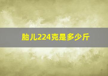 胎儿224克是多少斤