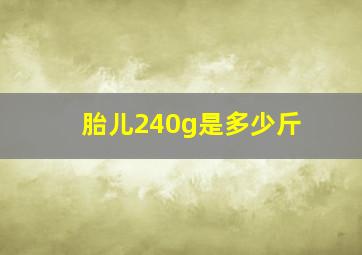 胎儿240g是多少斤