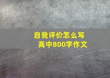 自我评价怎么写高中800字作文