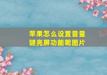 苹果怎么设置音量键亮屏功能呢图片