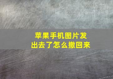 苹果手机图片发出去了怎么撤回来