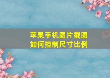 苹果手机图片截图如何控制尺寸比例