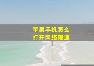 苹果手机怎么打开网络限速