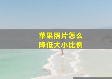 苹果照片怎么降低大小比例