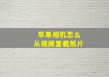 苹果相机怎么从视频里截照片