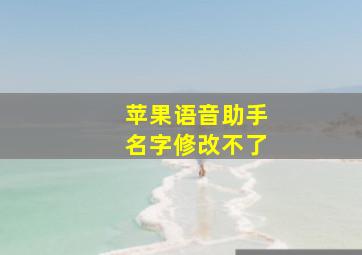 苹果语音助手名字修改不了