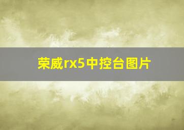 荣威rx5中控台图片