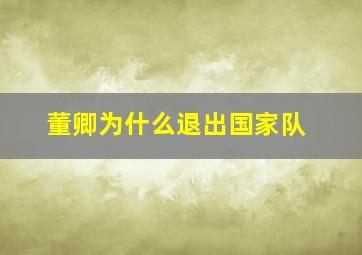 董卿为什么退出国家队