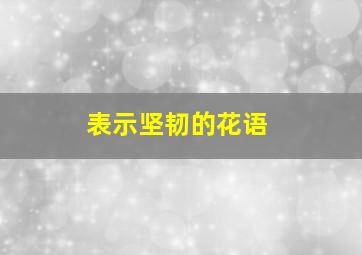 表示坚韧的花语