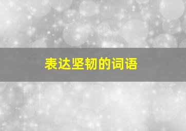 表达坚韧的词语