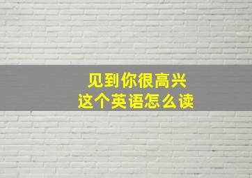 见到你很高兴这个英语怎么读