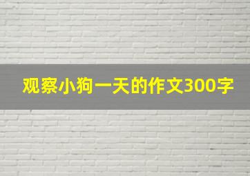 观察小狗一天的作文300字