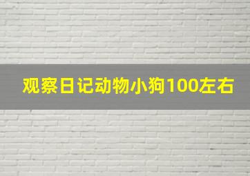 观察日记动物小狗100左右