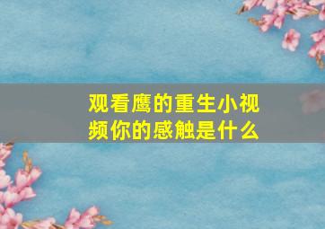 观看鹰的重生小视频你的感触是什么