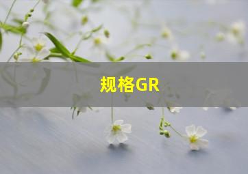 规格GR