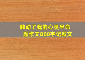 触动了我的心灵半命题作文800字记叙文