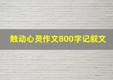 触动心灵作文800字记叙文