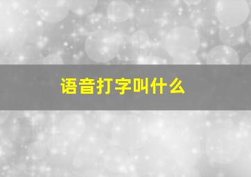 语音打字叫什么