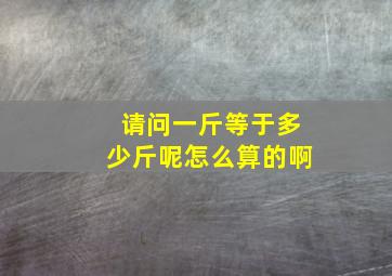 请问一斤等于多少斤呢怎么算的啊