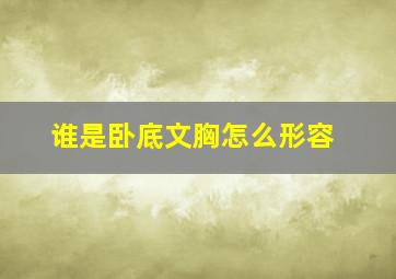 谁是卧底文胸怎么形容