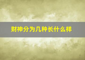 财神分为几种长什么样