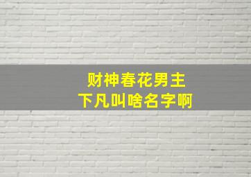 财神春花男主下凡叫啥名字啊