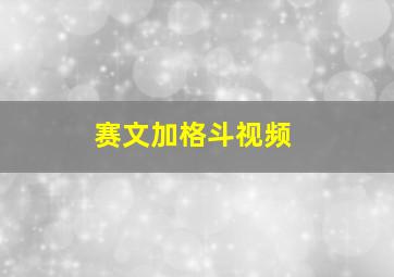 赛文加格斗视频