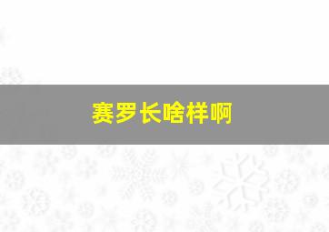 赛罗长啥样啊