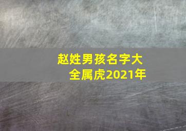 赵姓男孩名字大全属虎2021年