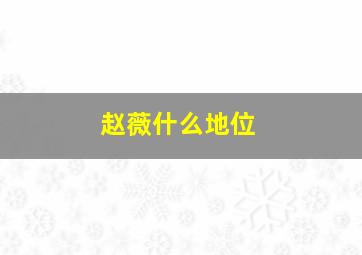 赵薇什么地位