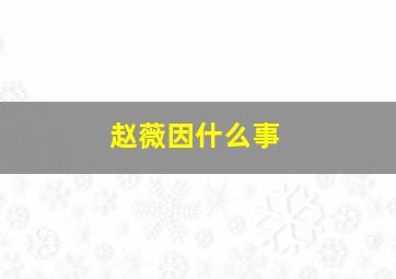 赵薇因什么事