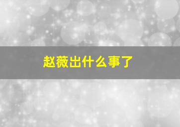 赵薇岀什么事了