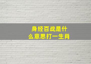 身经百战是什么意思打一生肖