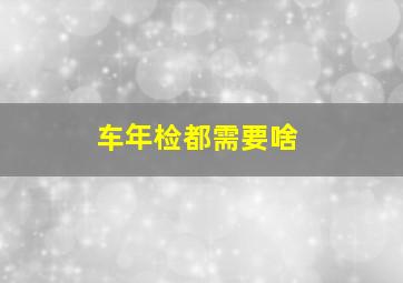 车年检都需要啥